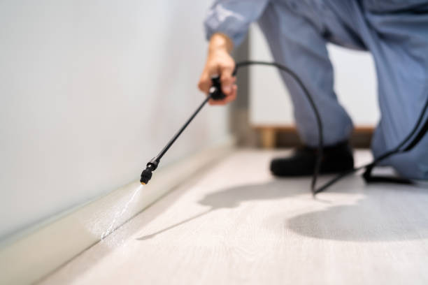 Licensed Fumigation Services service in Monument Beach, MA - Nex Pest Control