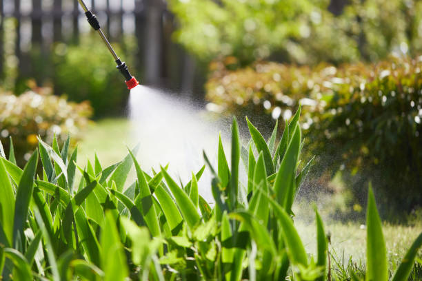 24/7 Emergency Fumigation Services experts in Monument Beach, MA
