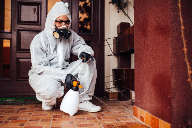 Reliable Fumigation Services contractor in Monument Beach, MA by Nex Pest Control