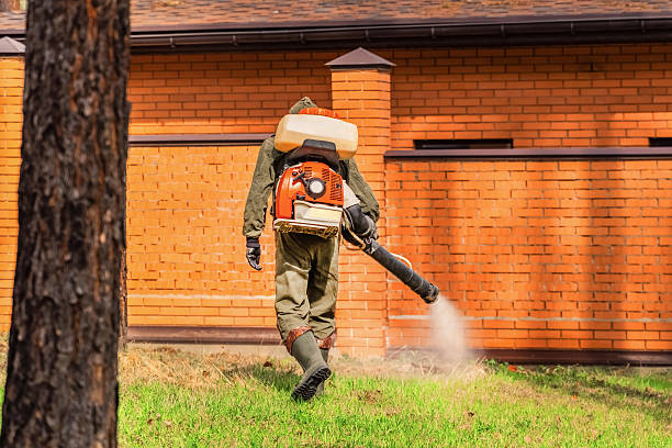Trusted Rodent Control service in Monument Beach, MA - Nex Pest Control